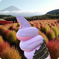 ソフトクリーム