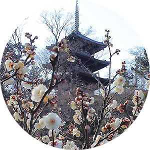 三溪園