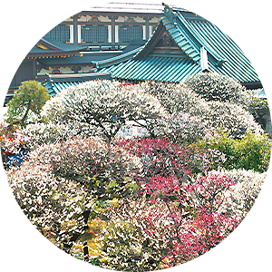 湯島天神