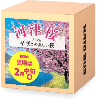 早咲きの桜（中旬）・河津桜特集2026