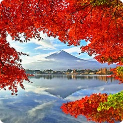 河口湖と富士山