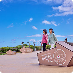 十国峠パノラマテラス