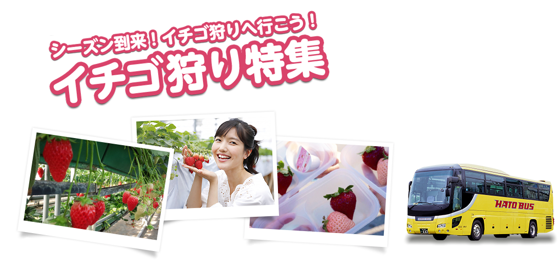 いちご狩り特集2024-2025