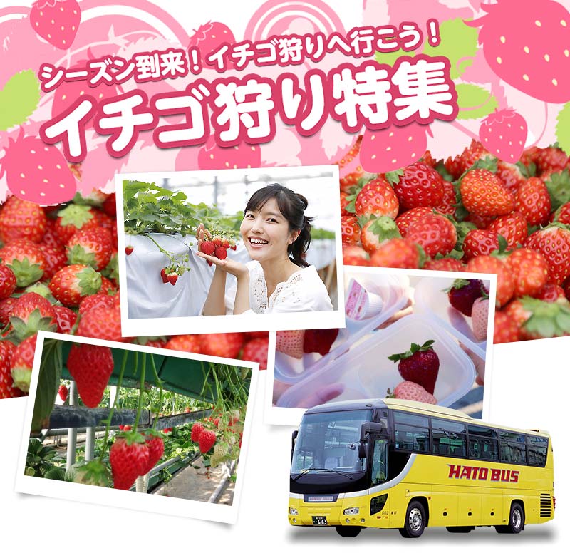 いちご狩り特集2024-2025