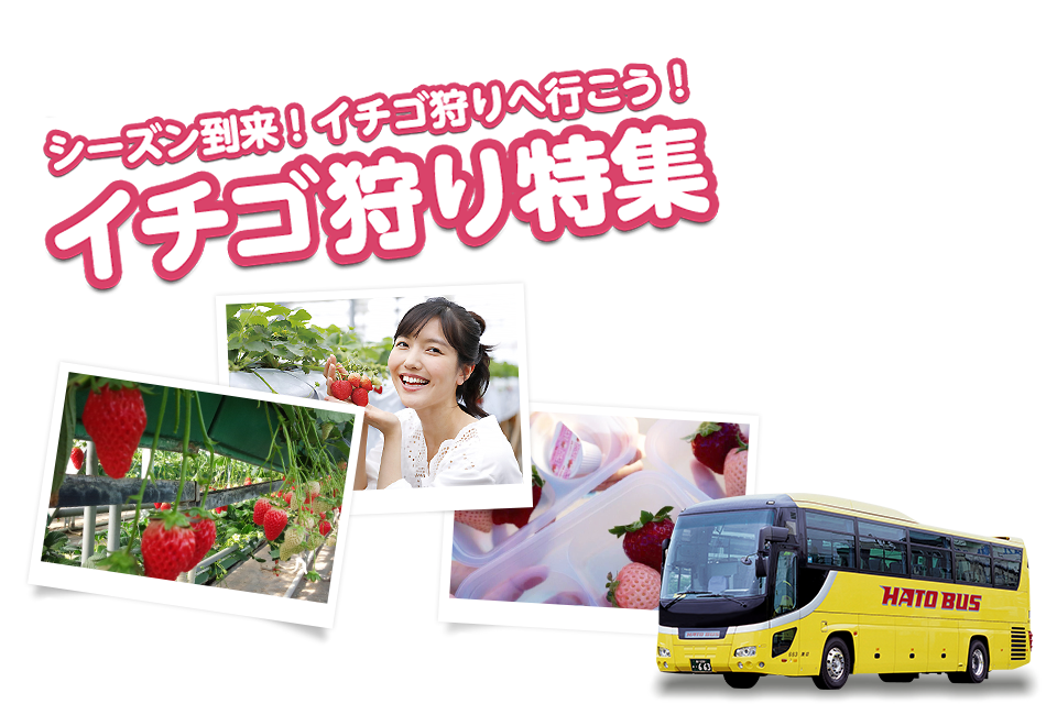 いちご狩り特集2024-2025