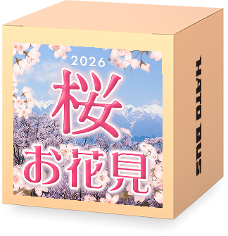 桜特集2026