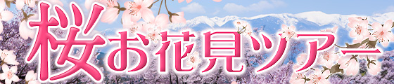 桜特集2025・はとバス桜バスツアー