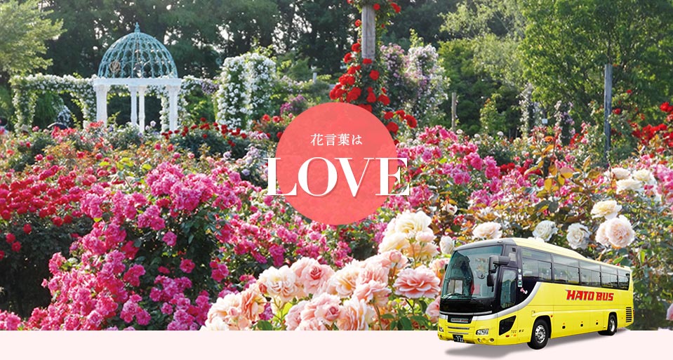 バラの花バスツアー