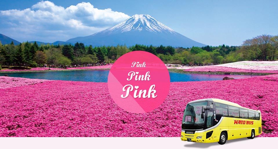 芝桜バスツアー