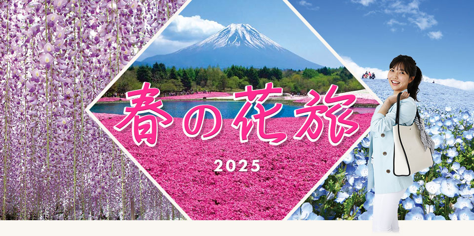 藤の花・芝桜・ネモフィラ
