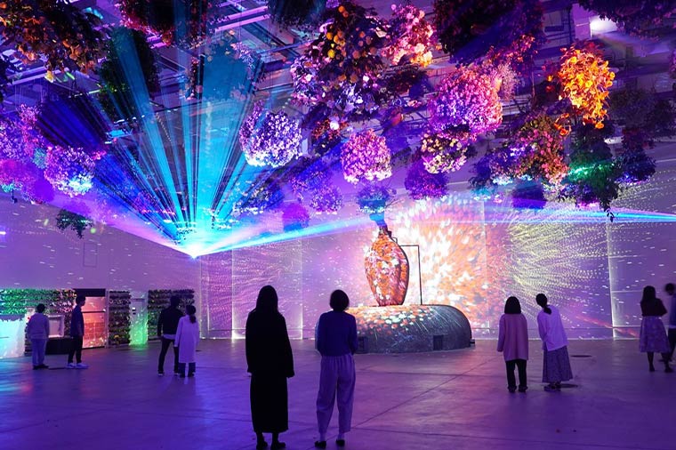 よみうりランド・イルミネーション