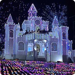 あしかがフラワーパーク