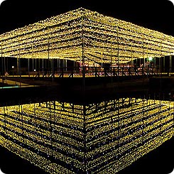 あしかがフラワーパーク