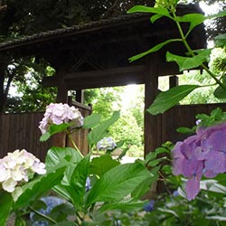 六義園
