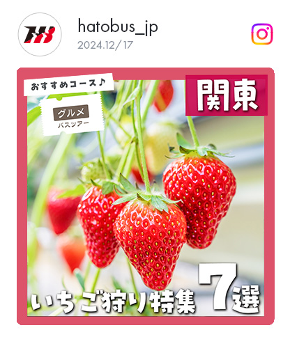 いちご狩り特集7選