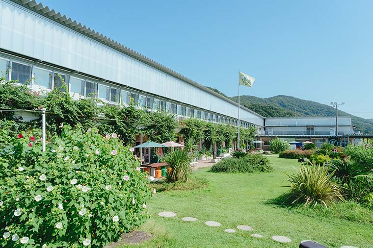 道の駅保田小学校