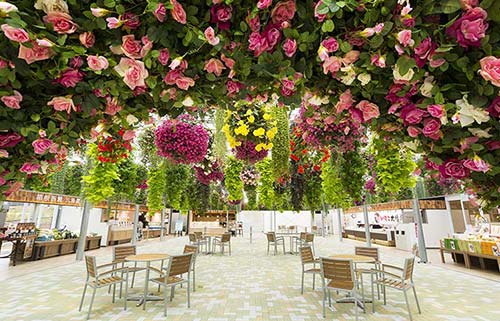 三島スカイウォーク・スカイガーデン