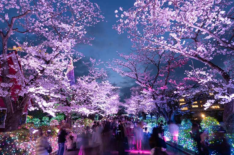 よみうりランド