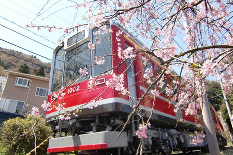 箱根登山鉄道