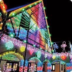 東京ドイツ村イルミネーション