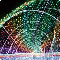 東京ドイツ村イルミネーション