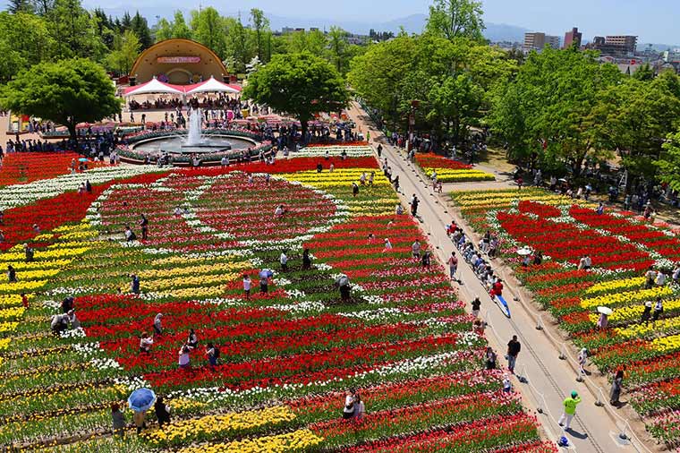 となみチューリップ・となみチューリップ公園