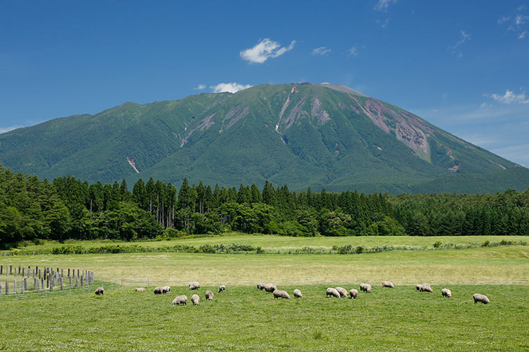 小岩井農場
