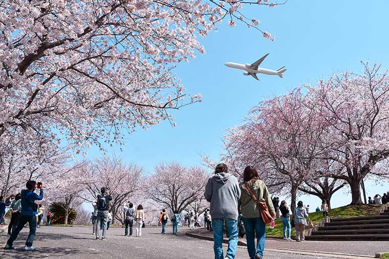 さくらの山公園公園