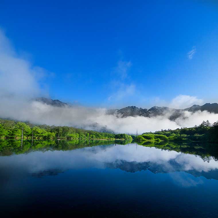 上高地・大正池・夏カラー