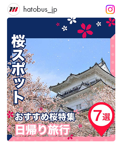 日帰り桜スポット