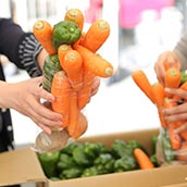 野菜詰め放題・里の駅いちのみやss//