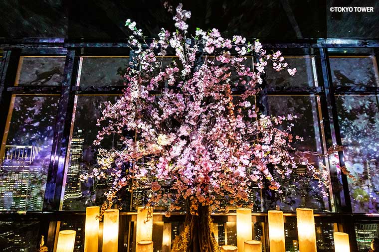 東京タワー桜・プロジェクションマッピング