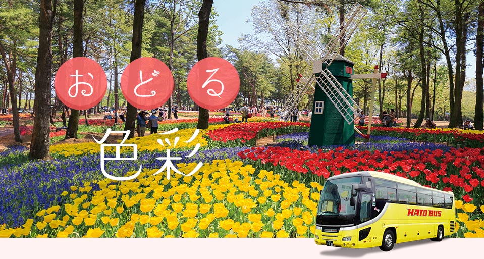 チューリップバスツアー