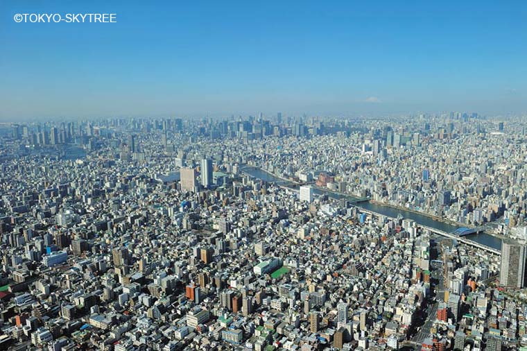 東京スカイツリーからの眺め