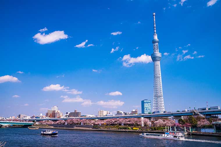 隅田川クルーズ