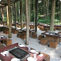 古沢園・BBQ広場