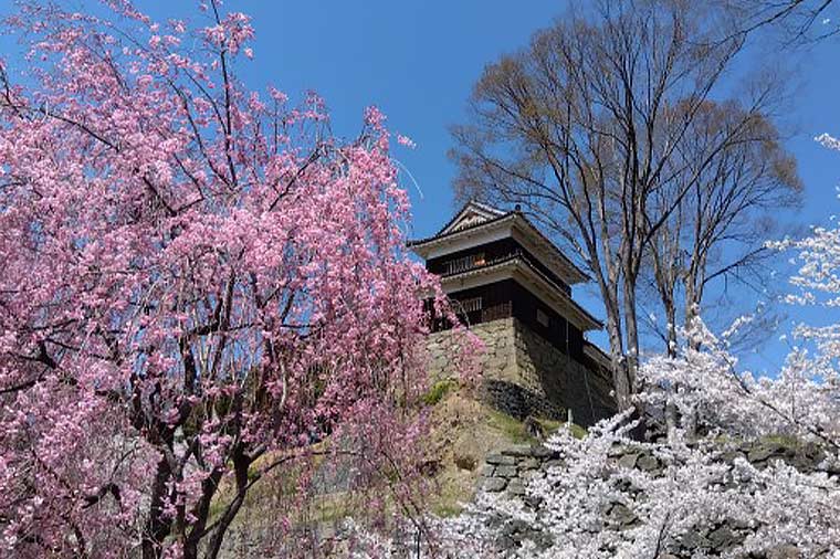 上田城址公園