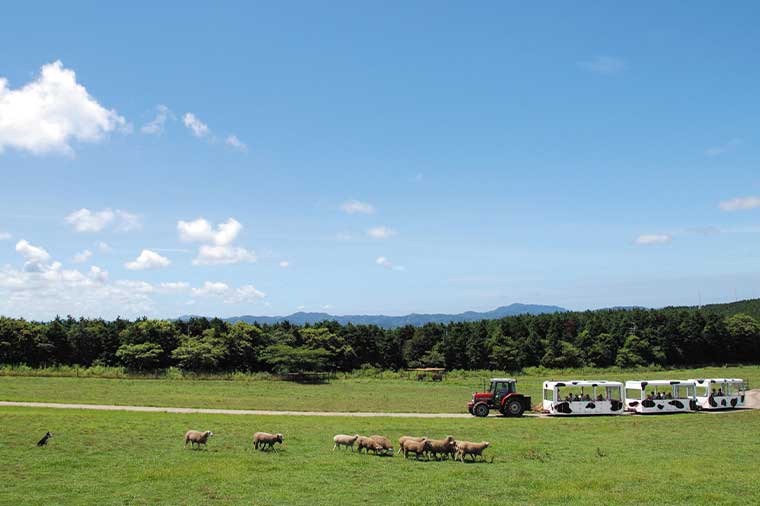 マザー牧場・マザーファームツアー