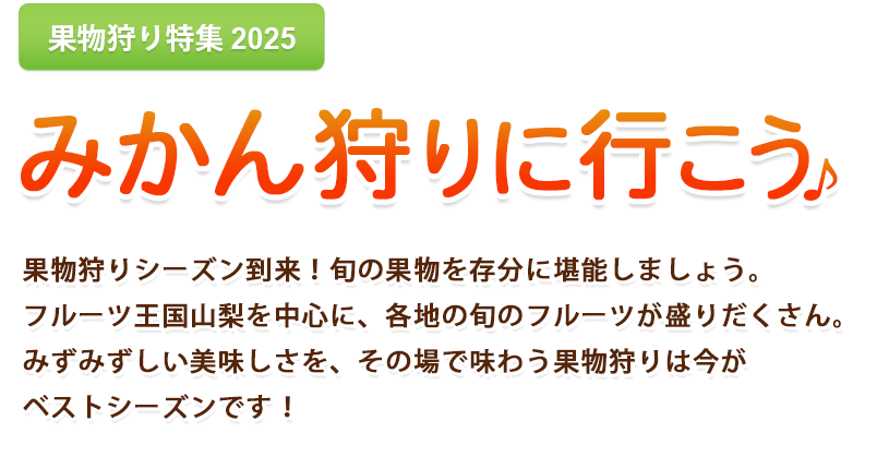 はとバスツアー・みかん狩り2025