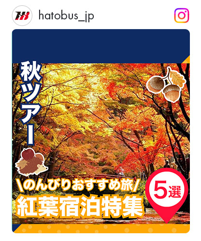 紅葉宿泊特集選