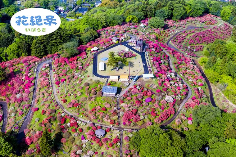 笠間つつじ公園