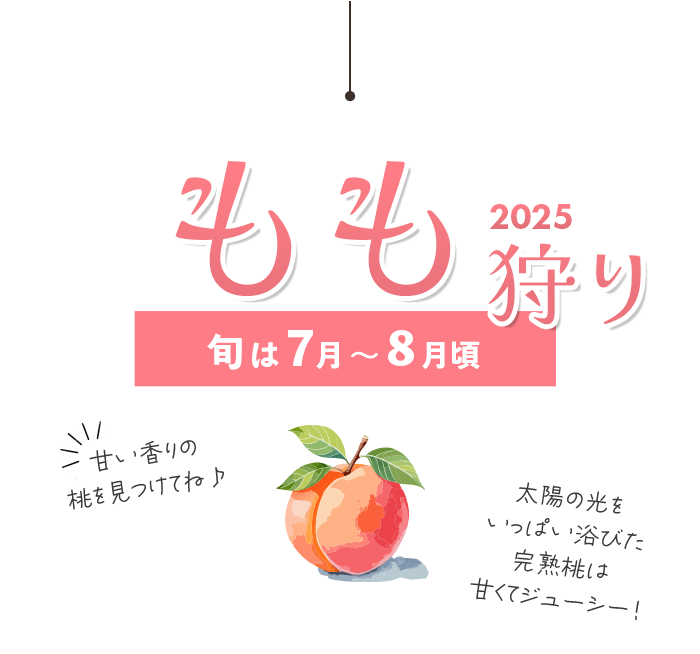 もも狩り特集2025