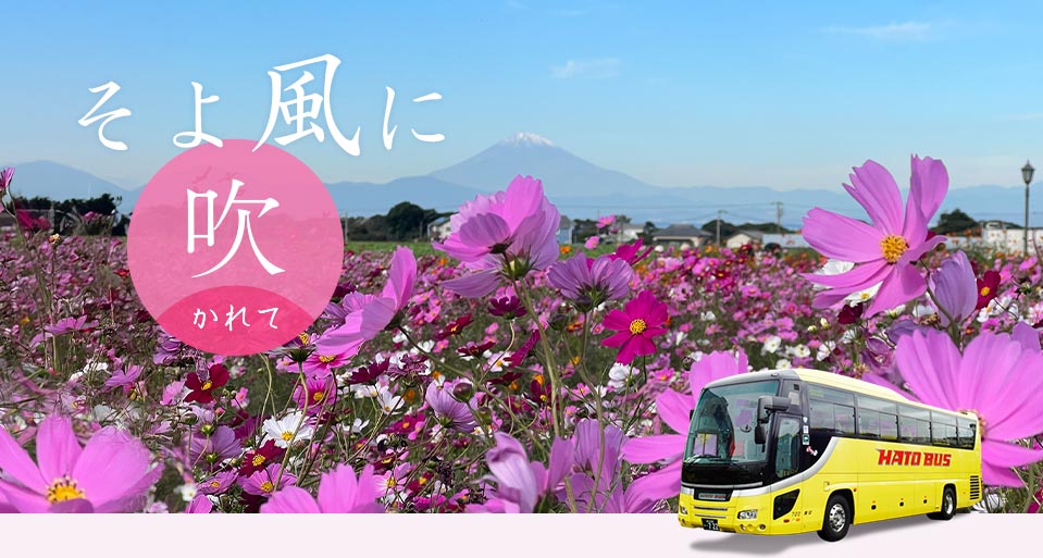 コスモスバスツアー