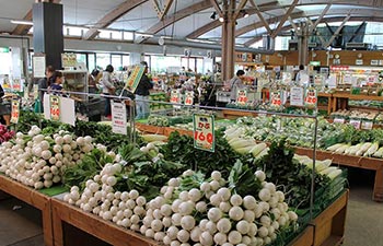 楽農ひろば