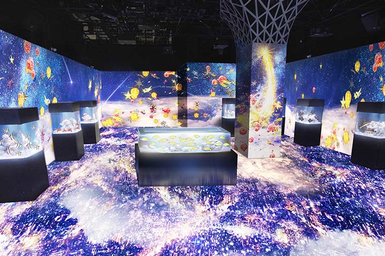 アクアパーク品川2025【クリスマスナイト】パターンズ