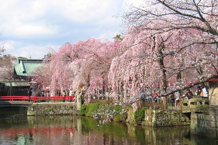 三嶋大社