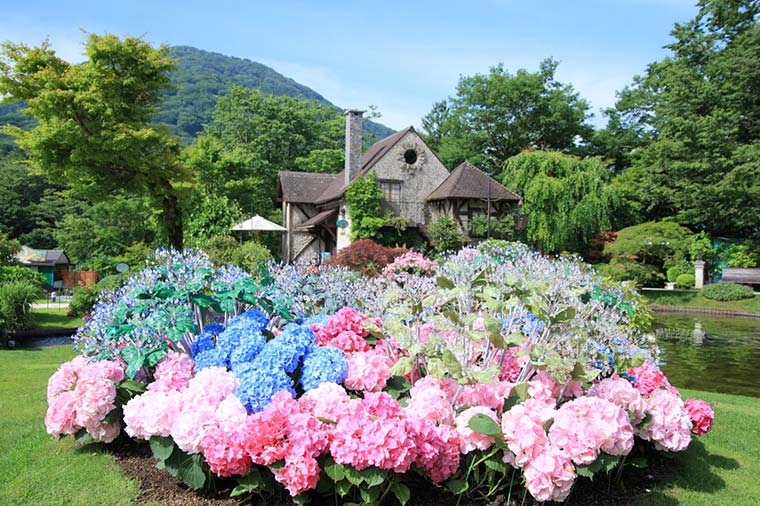 箱根ガラスの森