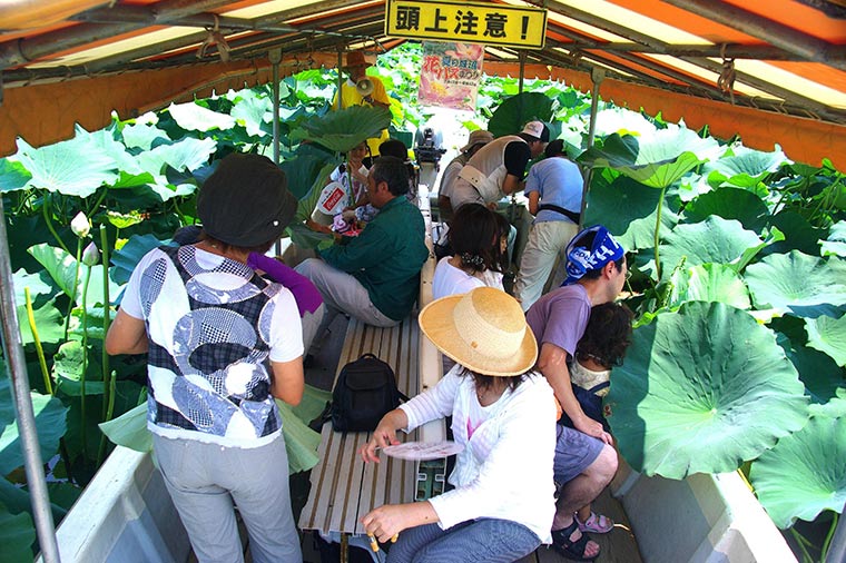 館林つつじが岡公園・花ハスクルーズ