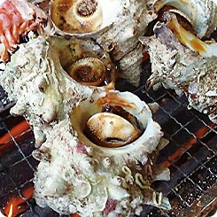 浜焼き