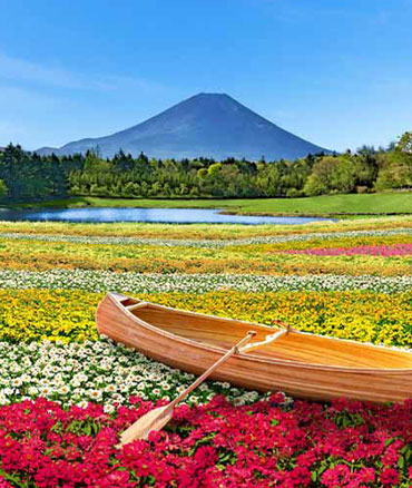 虹の花まつり